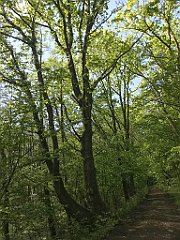 432_iP_220531_IMG_5901