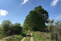 438_iP_220531_IMG_5906