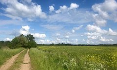 448_iP_220531_IMG_5920