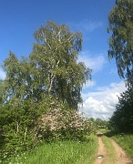 454_iP_220531_IMG_5922