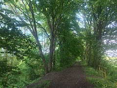 459_iP_220531_IMG_5929