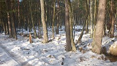 021_0053_3D_P1380384