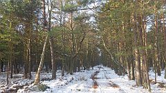 022_0056_3D_P1380385