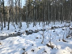 026_0068_iP_230209_IMG_6541