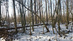 028_0074_3D_P1380389