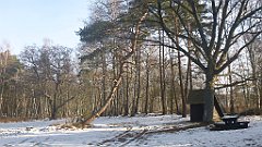 031_0083_3D_P1380392