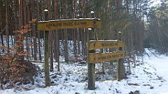 060_0170_3D_P1380419