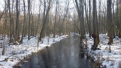 062_0176_3D_P1380421