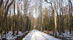 064_0182_3D_P1380423