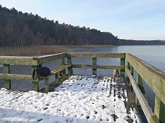 083_0236_p20_IMG_20230209_104622