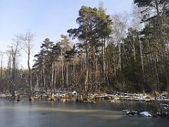 128_0368_p20_IMG_20230209_111845