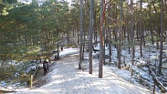 147_0431_FZ72_P1080054