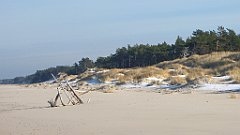 175_0515_3D_P1380472