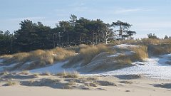 178_0524_3D_P1380475