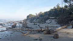 200_0590_3D_P1380494