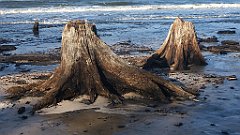 207_0611_3D_P1380501