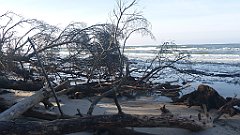 213_0629_3D_P1380506