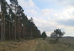 048_p20_IMG_20230414_170320