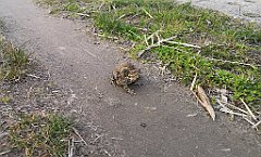 144_p20_IMG_20230414_184127