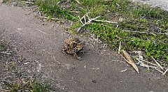 145_p20_IMG_20230414_184130