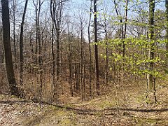 054_p20_IMG_20230423_125618