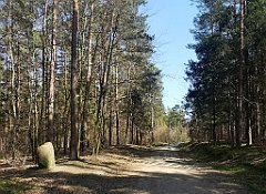 101_p20_IMG_20230423_134721