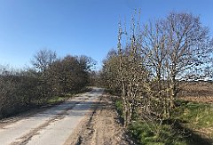 084_iP_230427_IMG_6706