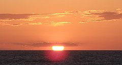 167_IMG_x60401