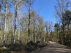 018_iP_230430_IMG_6713