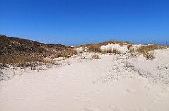 068_p20_IMG_20230430_105900