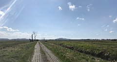 265_iP_230430_IMG_6745