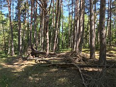 071_iP_230602_IMG_6808