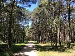 092_iP_230602_IMG_6809