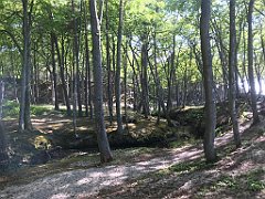 222_iP_230602_IMG_6827