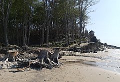 228_p20_IMG_20230602_165715