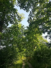 053_p20_IMG_20230608_083209