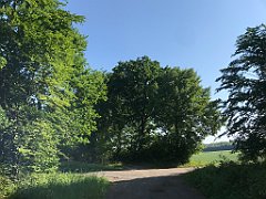 055_iP_230608_IMG_6834