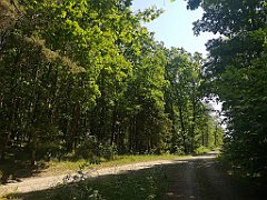 111_p20_IMG_20230608_104654