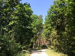 116_iP_230608_IMG_6844