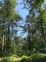 137_iP_230608_IMG_6848