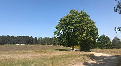 169_iP_230608_IMG_6850