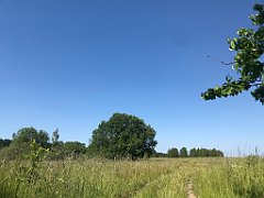 218_iP_230608_IMG_6858