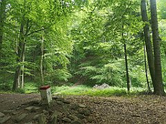 029_p20_IMG_20230618_124349