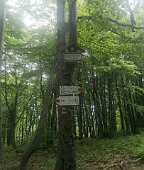 053_p20_IMG_20230618_135057