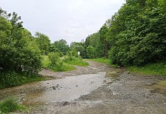 113_p20_IMG_20230618_152556