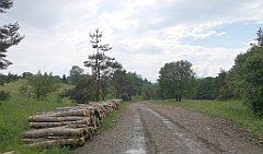 120_p20_IMG_20230618_153817