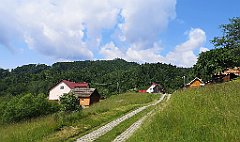 056_p20_IMG_20230619_101256