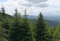 137_p20_IMG_20230619_131944