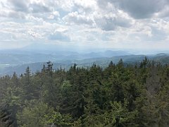 256_ip_230619_IMG_6931