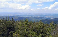 271_p20_IMG_20230619_142928